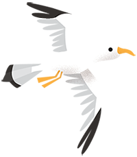 ave